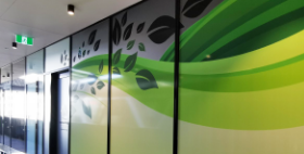 Marie Carmody Psychology