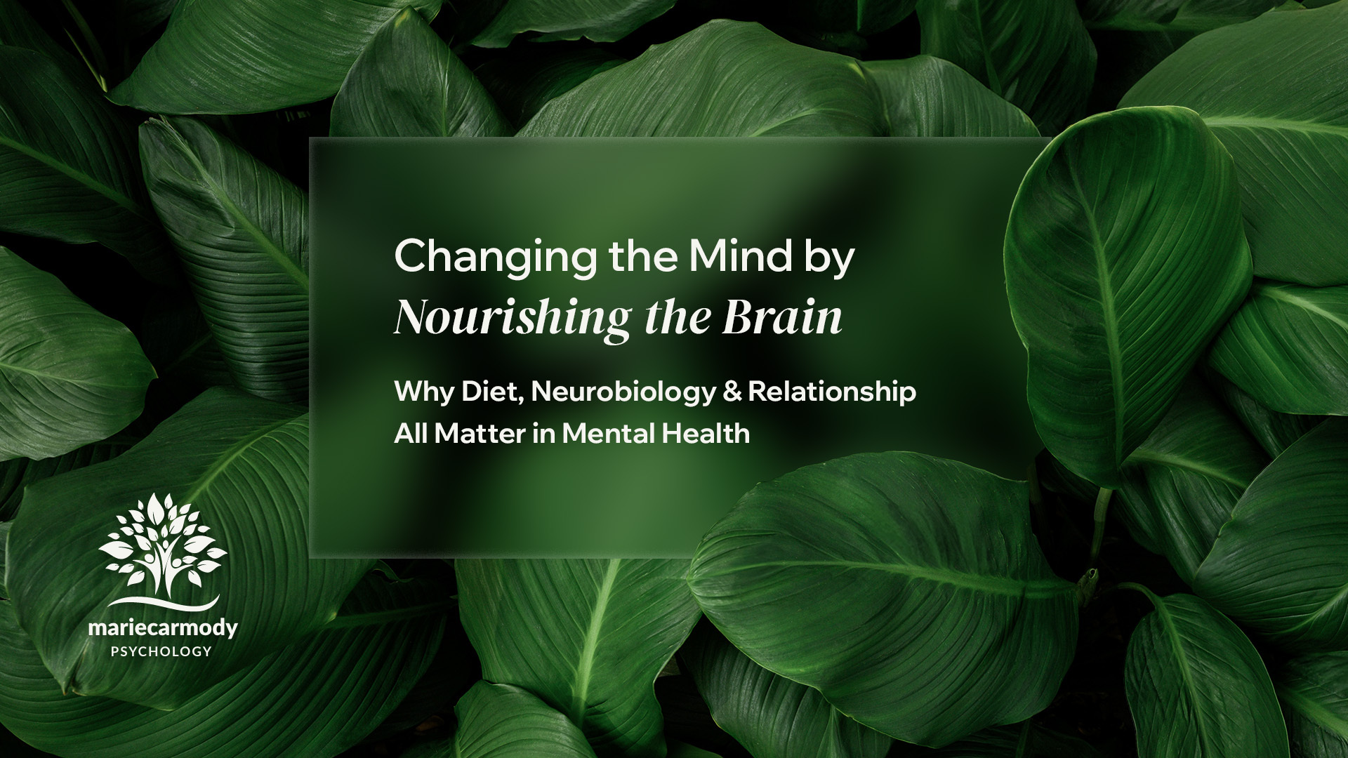 mental health australia