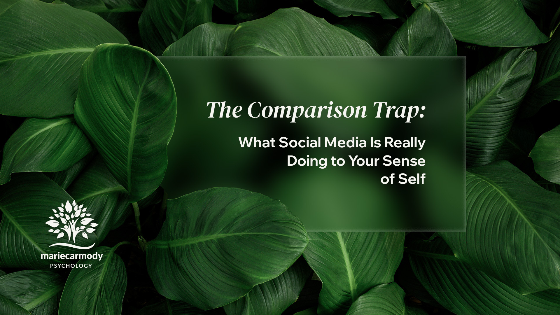 The Comparison Trap
