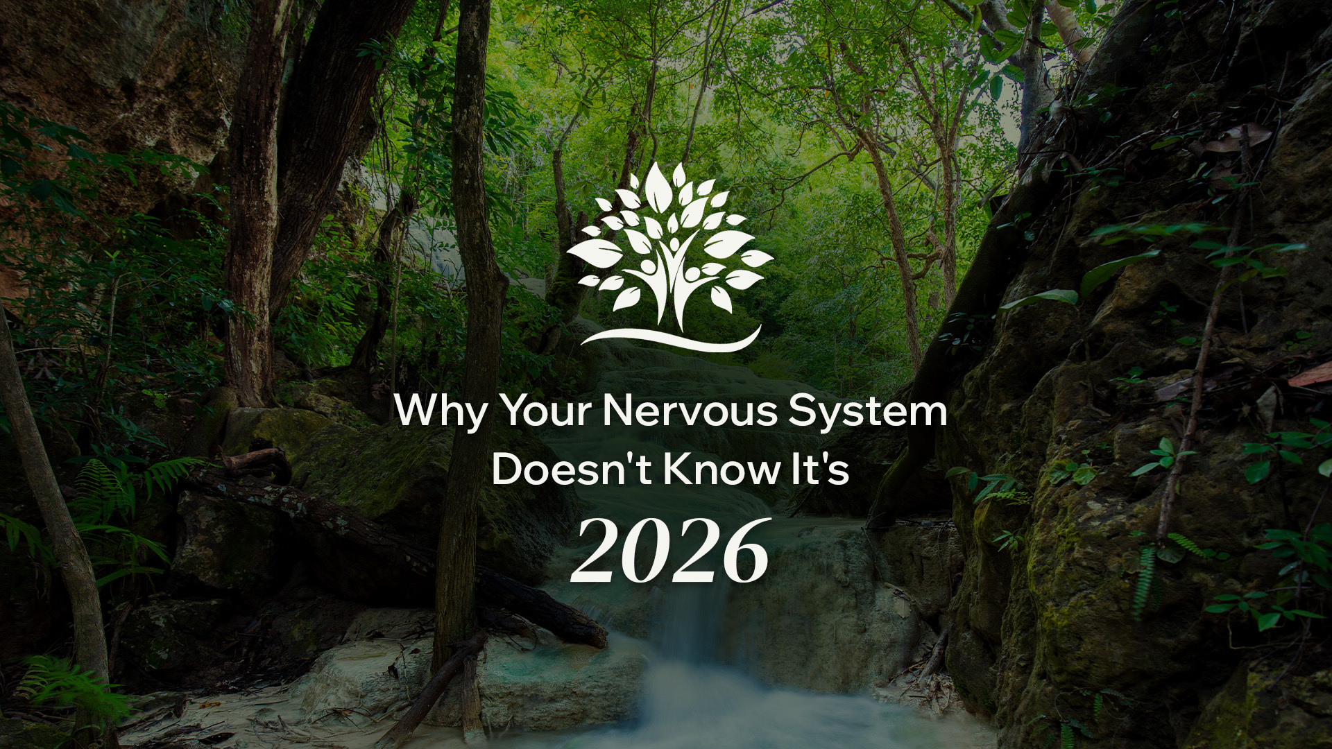 Why Your Nervous System Doesn't Know It's 2026